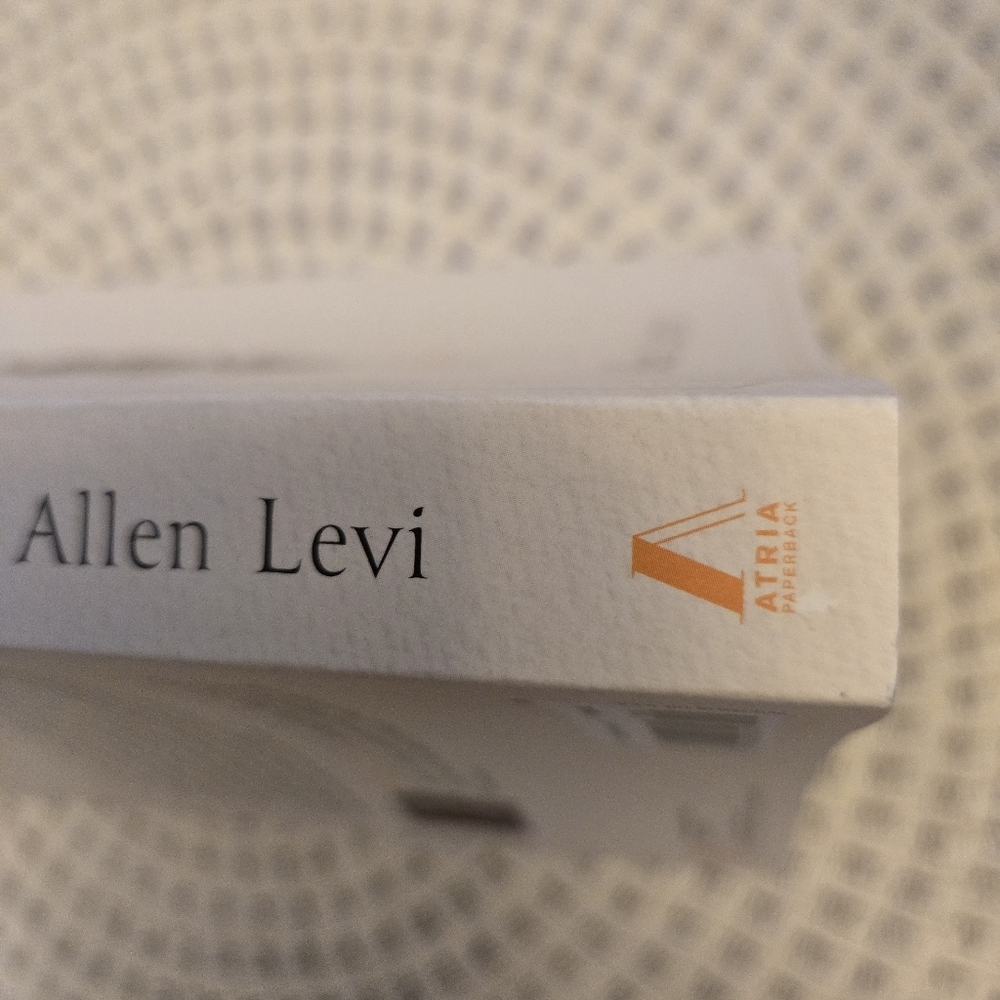 Theo of Golden: A Novel by Allen Levi - 2025 Paperback Book - Picture 5 of 10